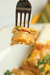 Cheesy Cajun Shrimp Enchiladas